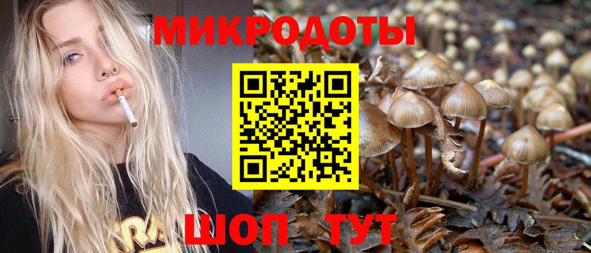 Тара  Галлюциногенные грибы Magic Shrooms  Галлюциногенные грибы Magic Shrooms  Вход с VPN 